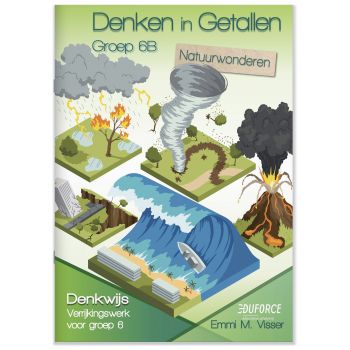 Denken in Getallen groep 6B (5ex.)