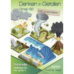 Denken in Getallen groep 6B (5ex.)