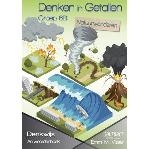 Handleiding en antwoorden Denken in Getallen groep 6B